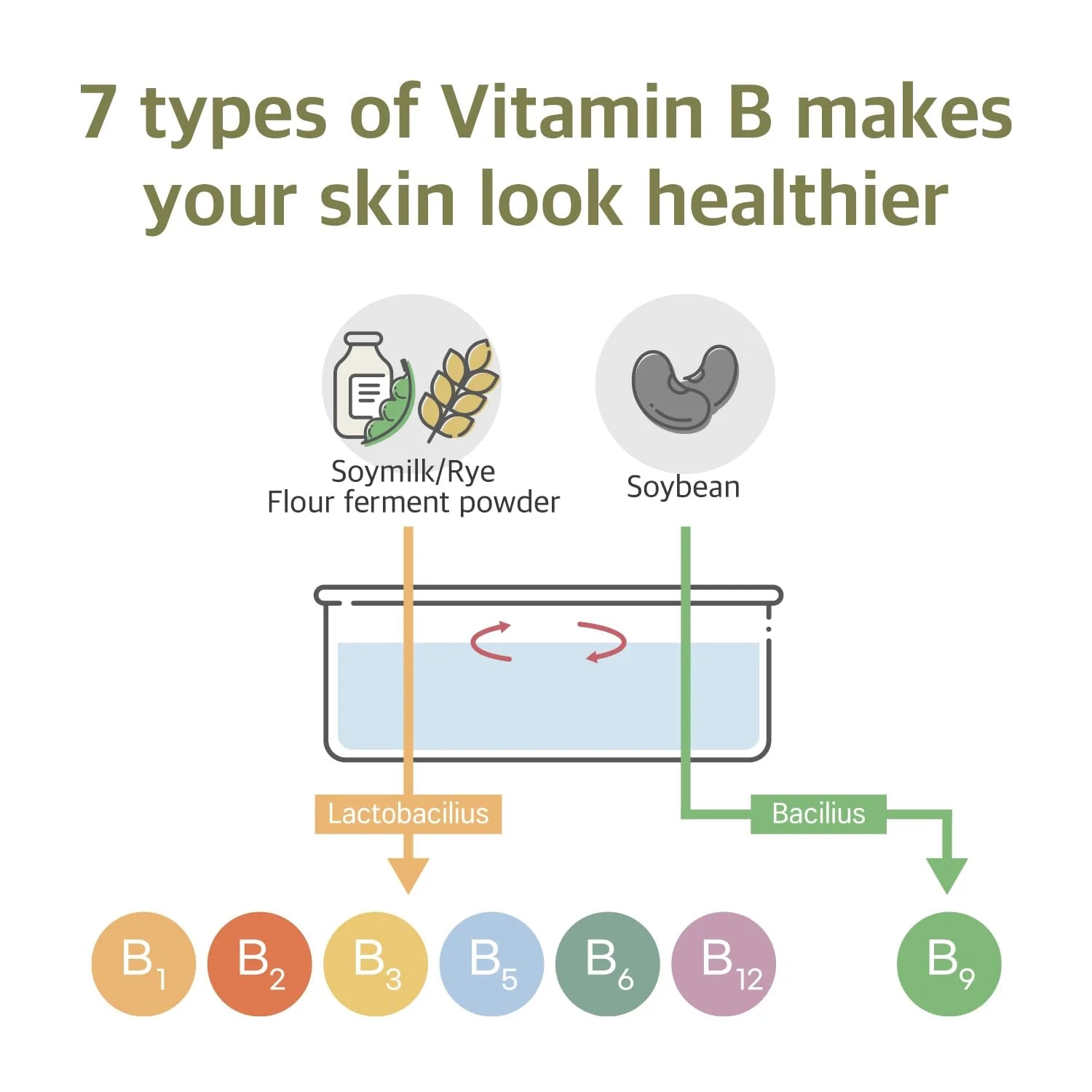 ROUND LAB Soybean Nourishing Serum (50ml)