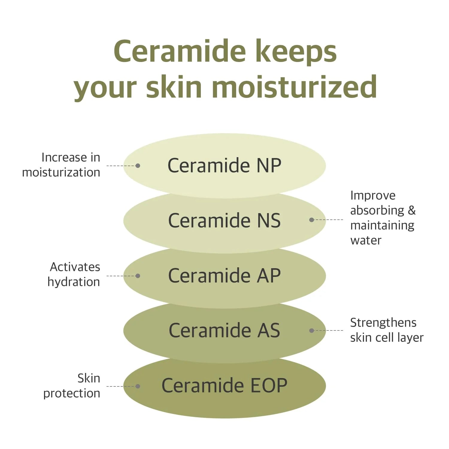 ROUND LAB Soybean Nourishing Serum (50ml)