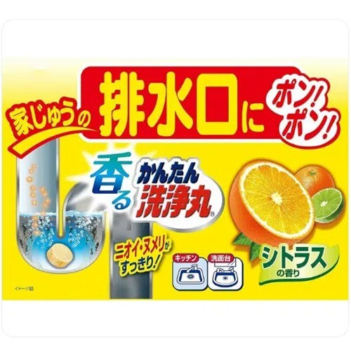 小林制药 管道清洁泡腾片 橙香型 12片装