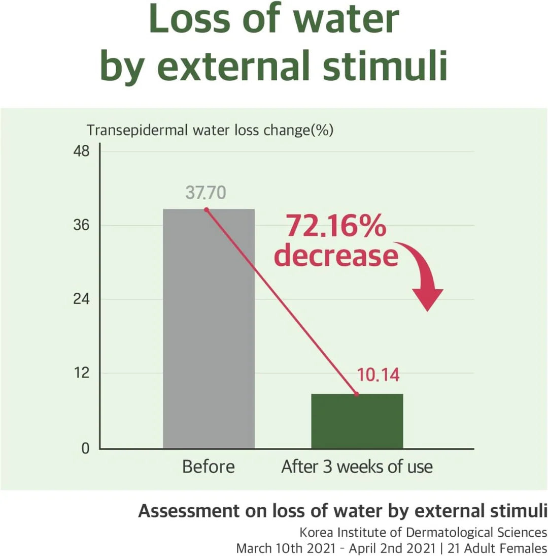 ROUND LAB Mugwort Calming Serum (50ml)