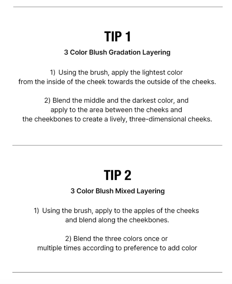 TOO COOL FOR SCHOOL Artclass By Rodin Blusher (4 Tones)