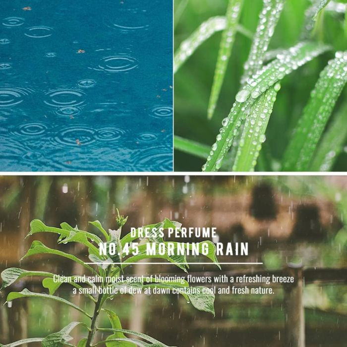 W. DRESSROOM Dress & Living Clear Perfume No. 45 Morning Rain